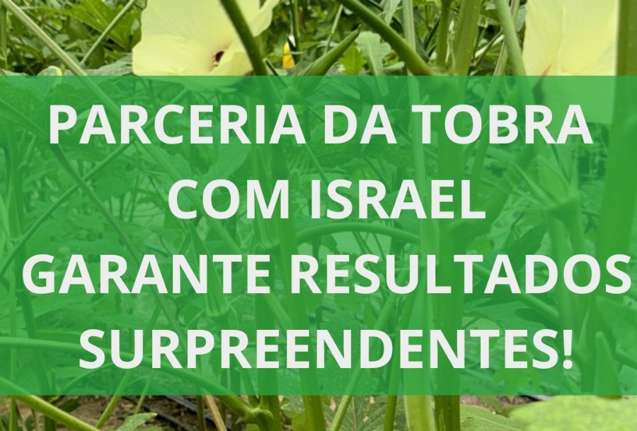 Imagem da matéria